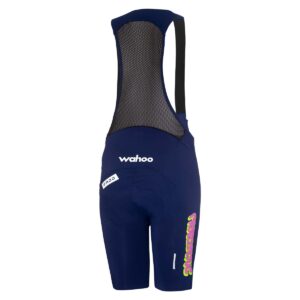 Bib Short Herren P-Factory Team in Dunkelblau, Rückansicht