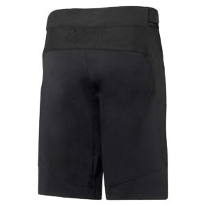 MTB Shorts Herren P-New Toy in Schwarz, Rückansicht