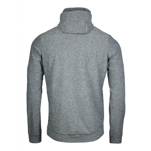 Hoodie Herren P-Sunstone in Gunmetal, Rückansicht