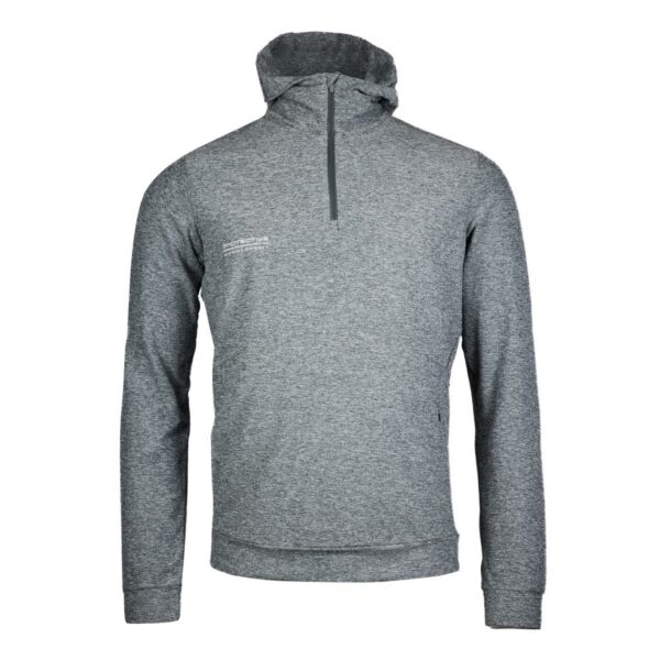 Hoodie Herren P-Sunstone in Gunmetal, Vorderansicht