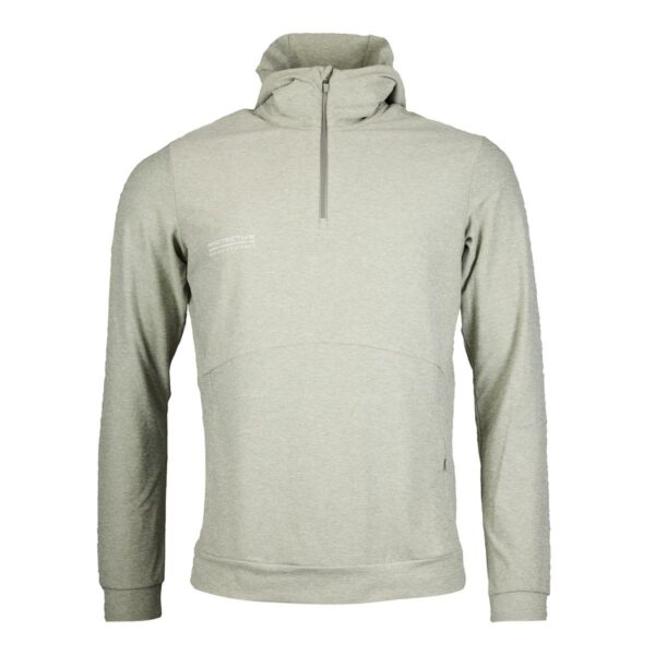 Hoodie Herren P-Sunstone in Hellgrün, Vorderansicht