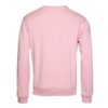 sweater-unisex-soft-pink-protective-p-joe-d-145101-553-back
