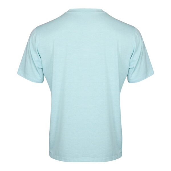 Funktionsshirt Herren P-Wildwood in Soft Teal, Rückansicht
