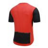 114001 P-Move_firered_back