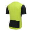 114001_P-Move_lime_back