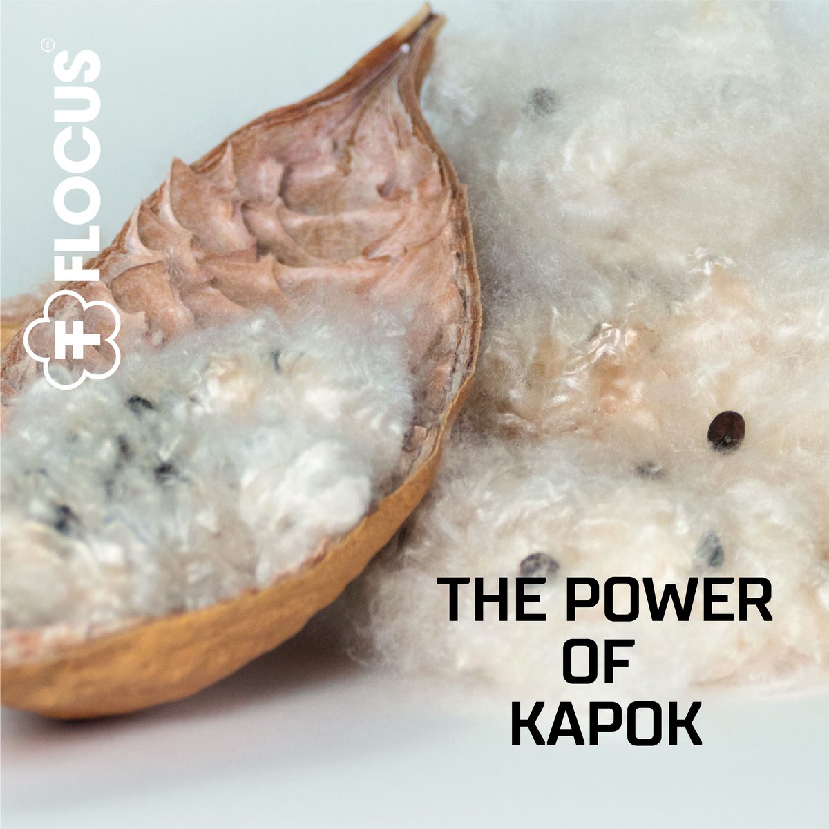 The Power of Kapok, FLOCUS
