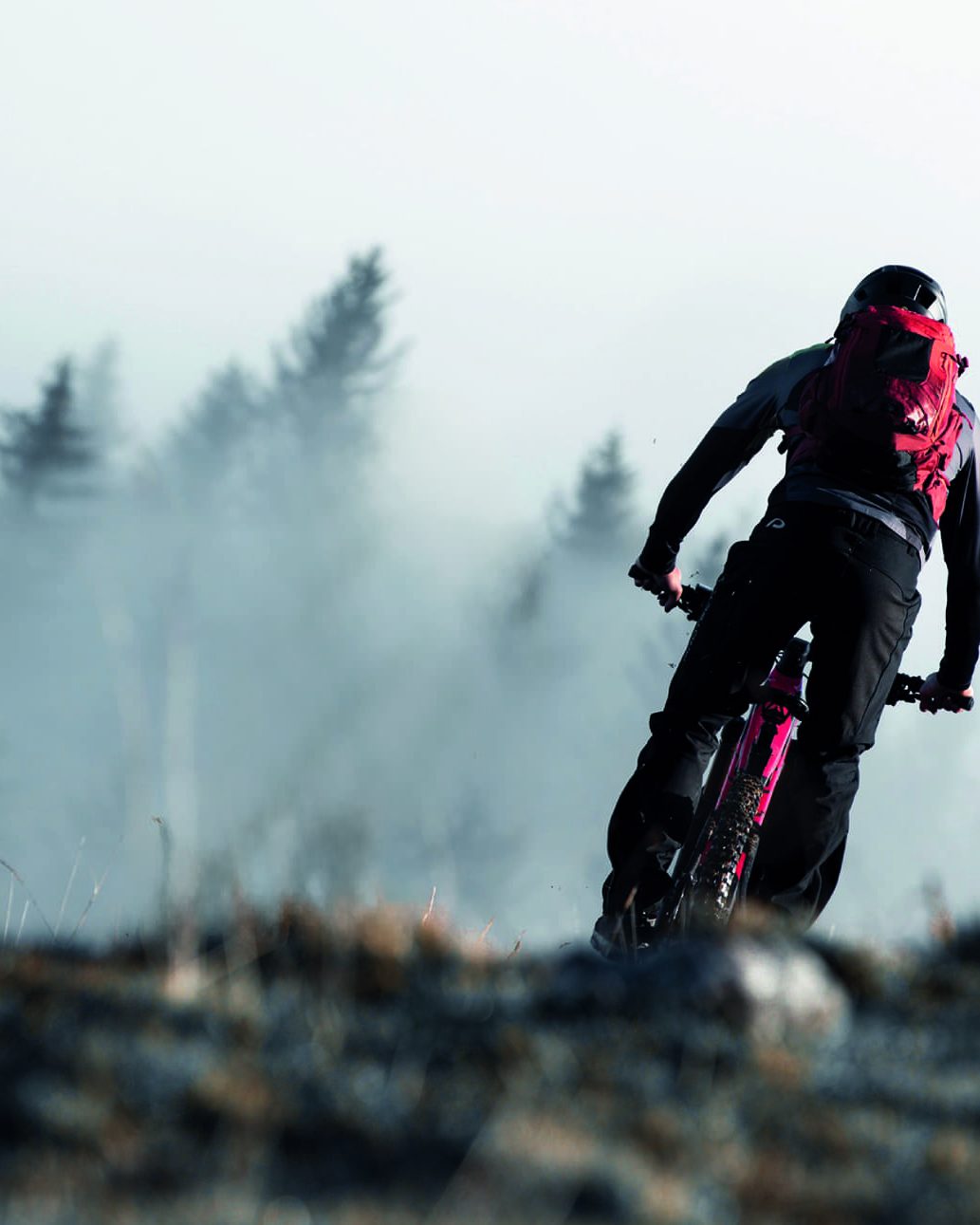 Mountainbiker im Nebel zwischen Tannen